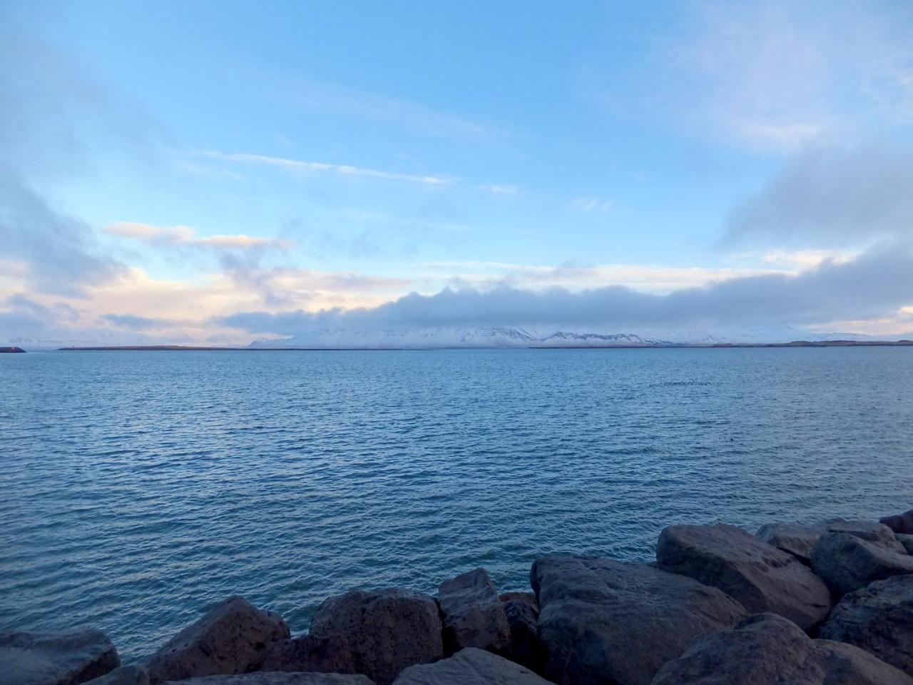 Scandinavian Apartments Reykjavík Dış mekan fotoğraf
